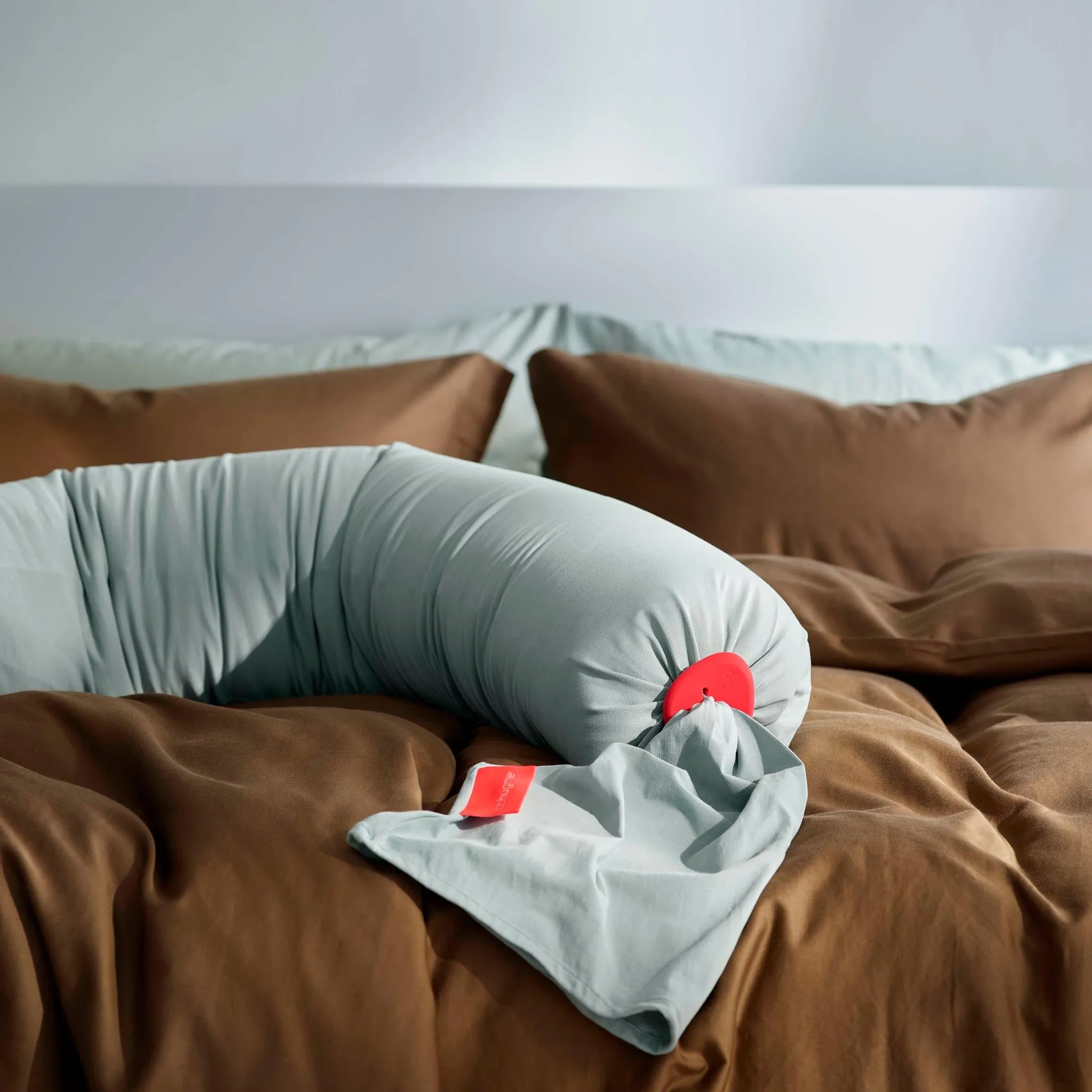 bbhugme Pregnancy Pillow