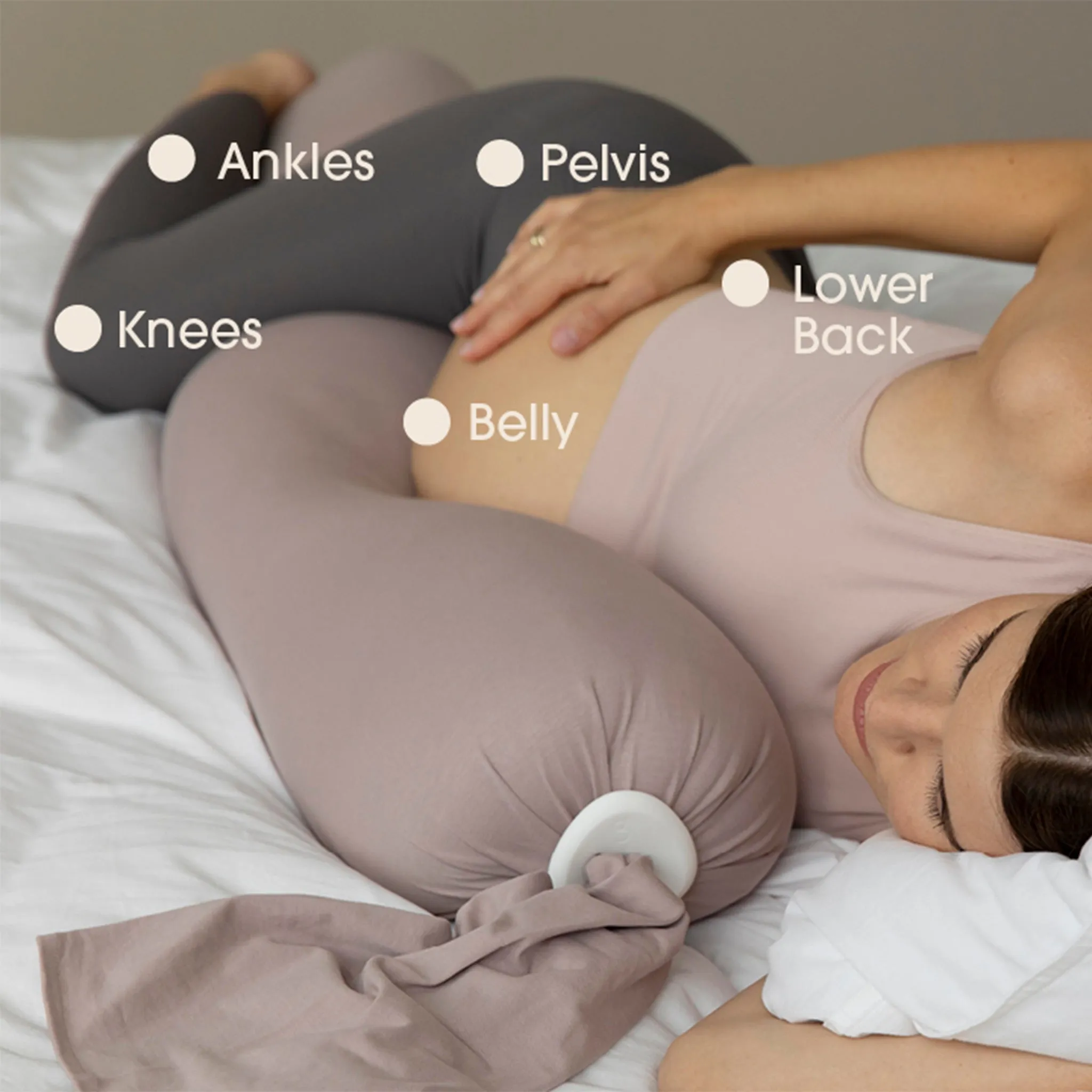 bbhugme Pregnancy Pillow