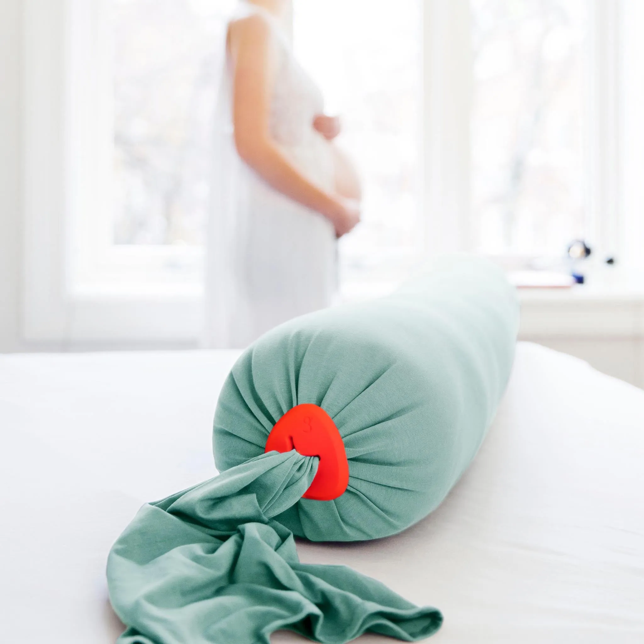 bbhugme Pregnancy Pillow