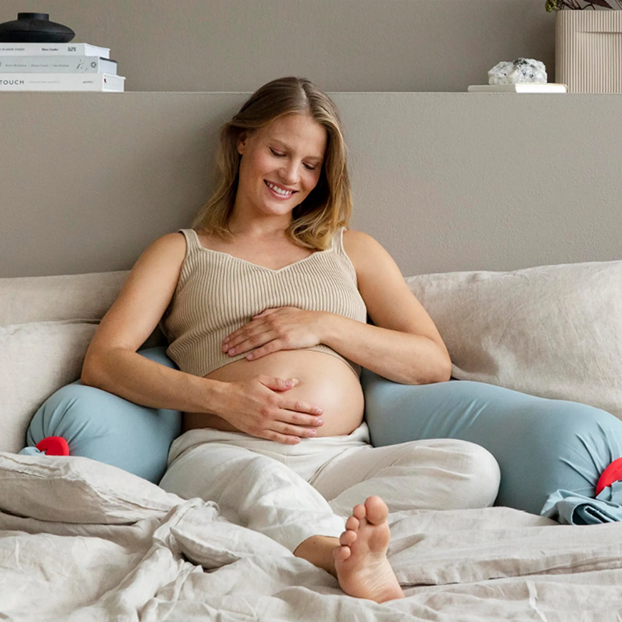 bbhugme Pregnancy Pillow