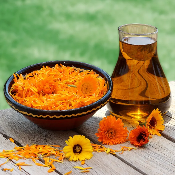 Calendula Petals