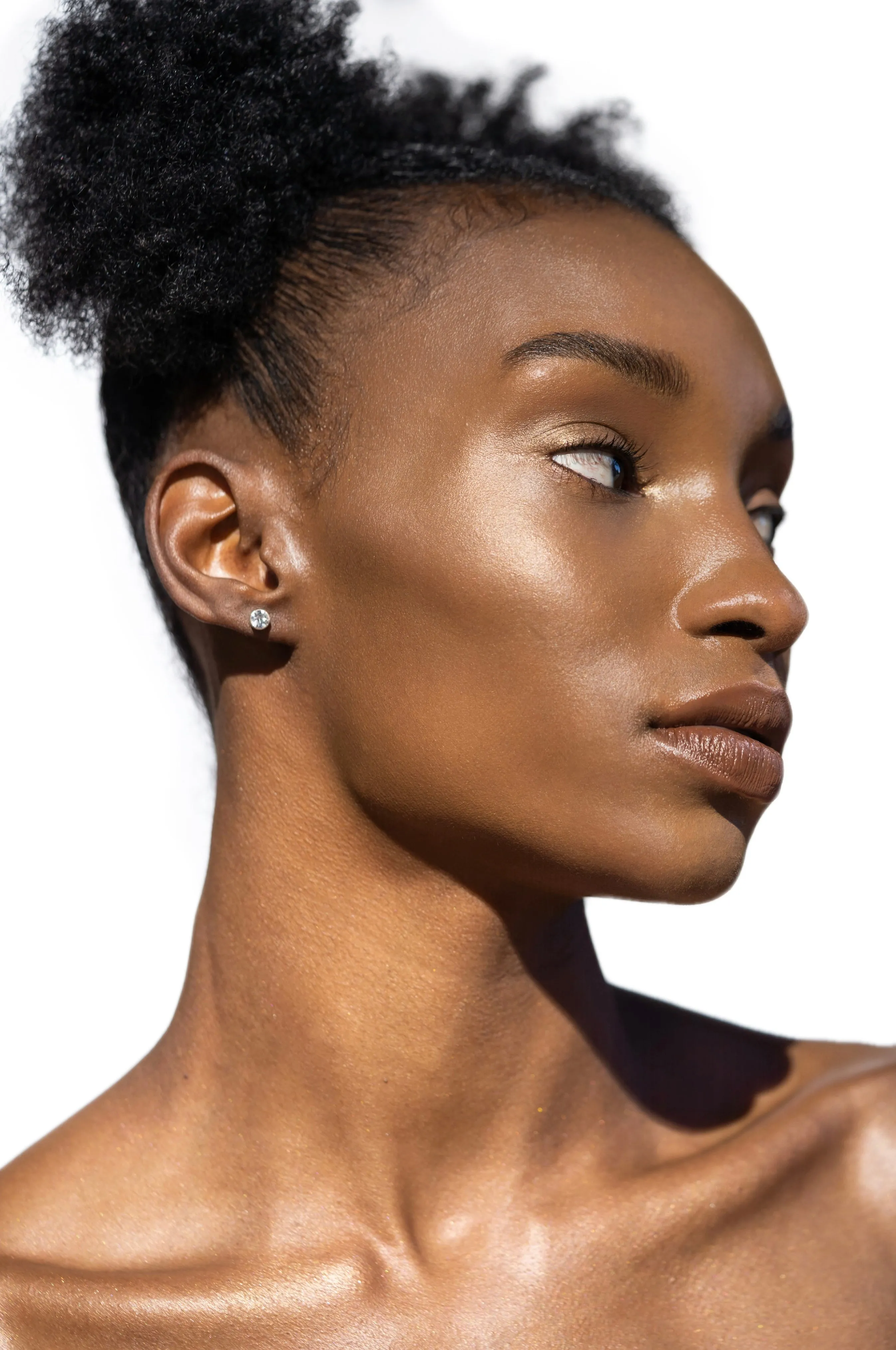 MOTD Highlighting Powder Morning Sun